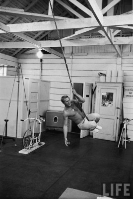 photo 6 in Steve McQueen gallery [id188497] 2009-10-08 00:00:00