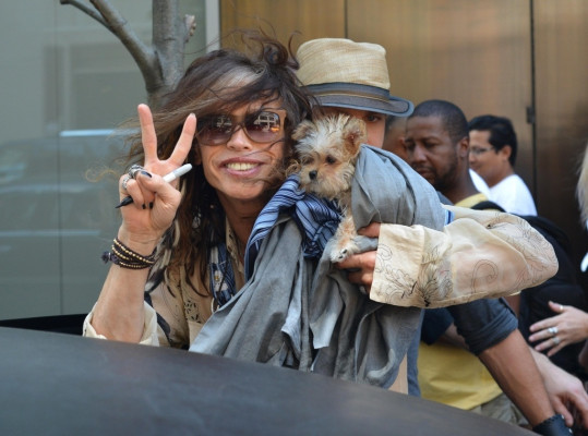 photo 4 in Steven Tyler gallery [id516205] 2012-07-27 00:00:00