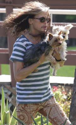 photo 23 in Steven Tyler gallery [id652748] 2013-12-13 00:00:00