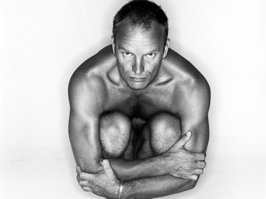 Sting pic #244102