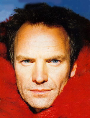 Sting pic #384826