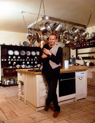Sting pic #283300