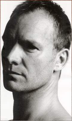 Sting pic #8386