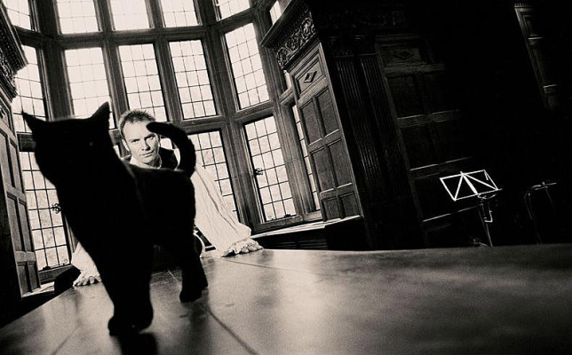 Sting pic #100582