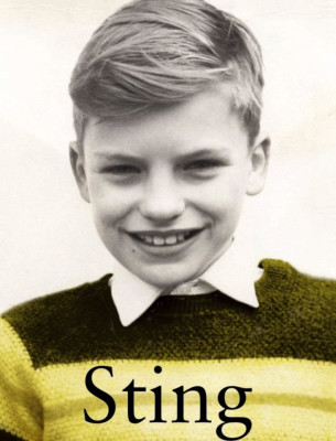 Sting pic #69165
