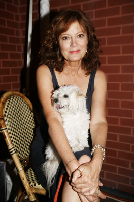 Susan Sarandon pic #233857