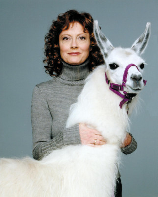 Susan Sarandon pic #246096