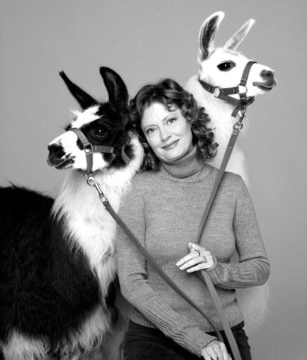 Susan Sarandon pic #67985