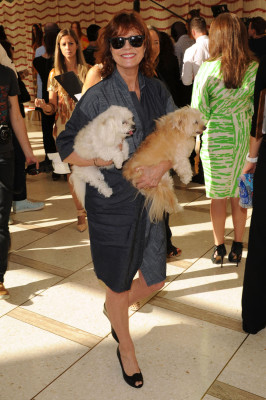 Susan Sarandon pic #569637