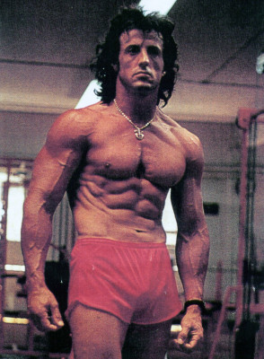 photo 21 in Stallone gallery [id1313922] 2022-11-14 00:00:00