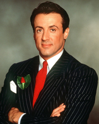photo 24 in Stallone gallery [id560786] 2012-12-12 00:00:00