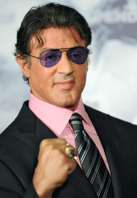 photo 3 in Stallone gallery [id549374] 2012-11-10 00:00:00