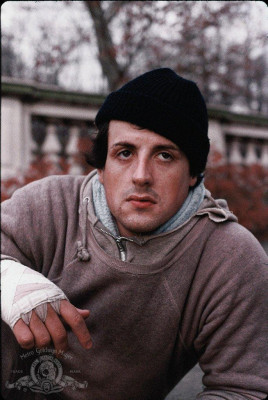 photo 6 in Stallone gallery [id549371] 2012-11-10 00:00:00