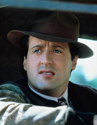 photo 27 in Stallone gallery [id559278] 2012-12-08 00:00:00