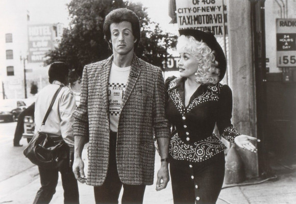 photo 11 in Stallone gallery [id1313932] 2022-11-14 00:00:00