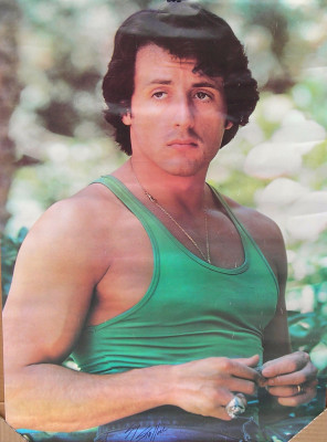 photo 18 in Sylvester Stallone gallery [id553942] 2012-11-19 00:00:00