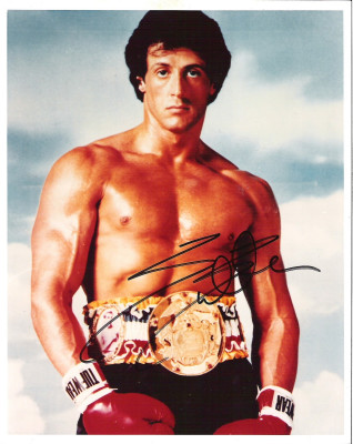 photo 24 in Stallone gallery [id551477] 2012-11-12 00:00:00