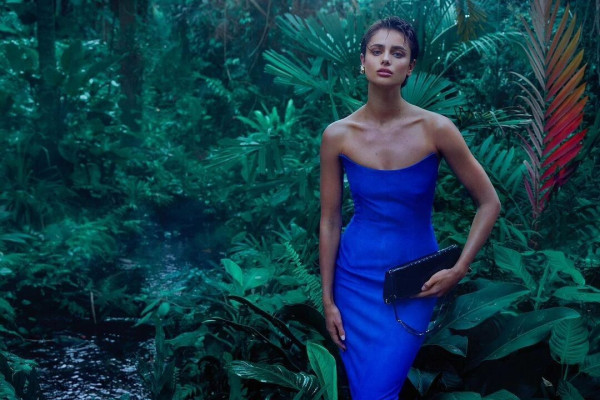 photo 18 in Taylor Hill gallery [id1353874] 2024-07-11 00:00:00