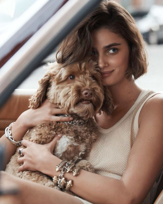 Taylor Hill pic #1279429