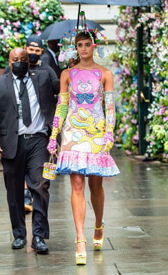 Taylor Hill pic #1269087