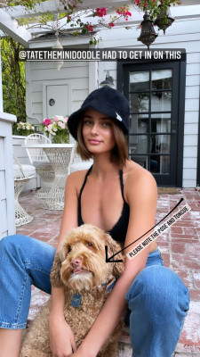 Taylor Hill pic #1250136