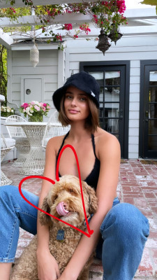 Taylor Hill pic #1250137