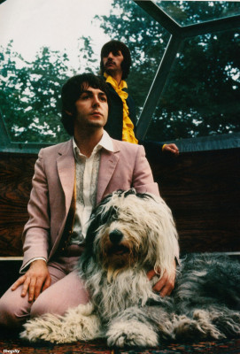 photo 22 in The Beatles gallery [id590224] 2013-03-30 00:00:00