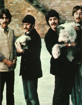 photo 18 in Beatles gallery [id589023] 2013-03-29 00:00:00