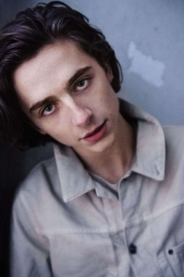 Timothee Chalamet pic #1009889