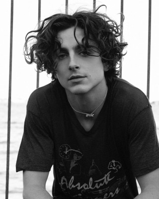 Timothee Chalamet pic #1324248