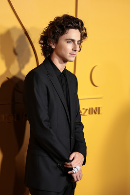 Timothee Chalamet pic #1343578