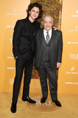 Timothee Chalamet pic #1343576