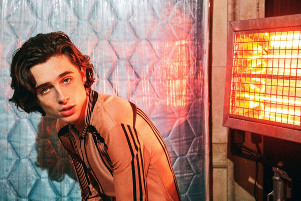 Timothee Chalamet pic #1009883