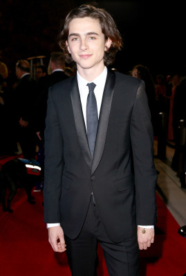 Timothee Chalamet pic #1298644