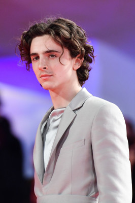 Timothee Chalamet pic #1274415