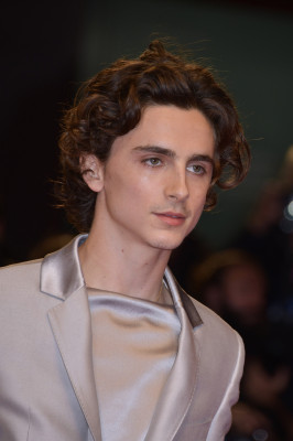 Timothee Chalamet pic #1274421