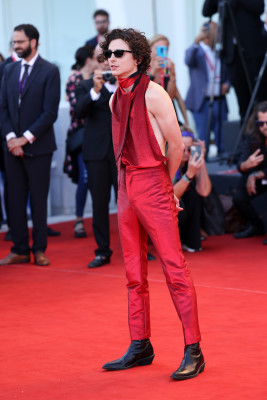 Timothee Chalamet pic #1310423