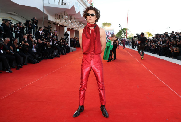Timothee Chalamet pic #1314573