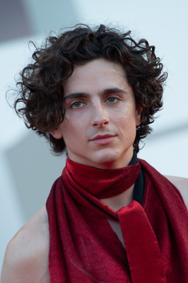 Timothee Chalamet pic #1314571
