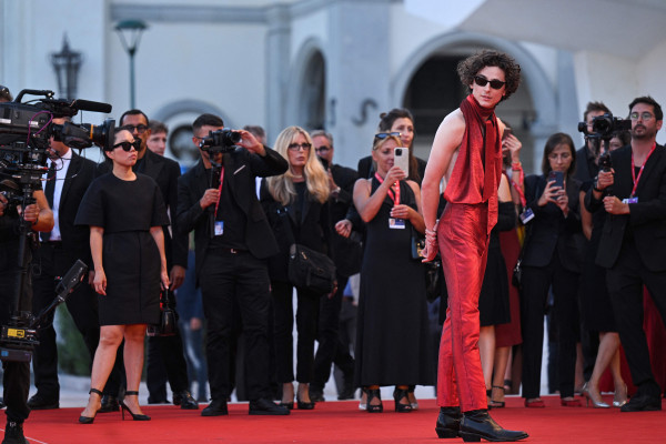 Timothee Chalamet pic #1319637