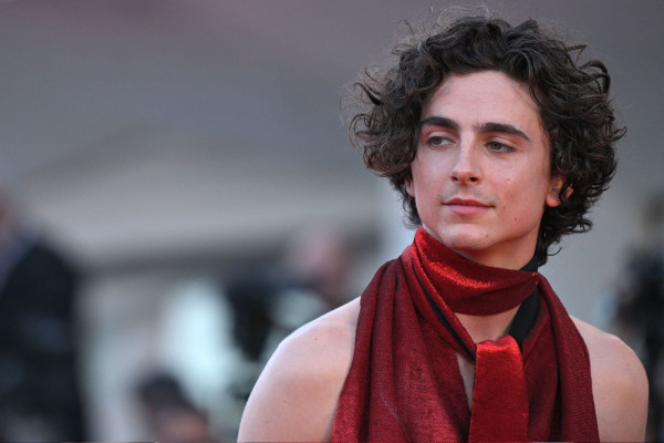 Timothee Chalamet pic #1321562