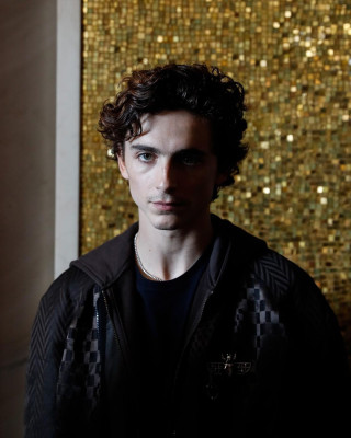 Timothee Chalamet pic #1320445