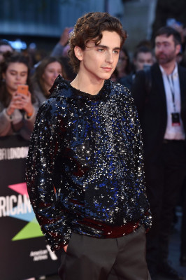 Timothee Chalamet pic #1360034