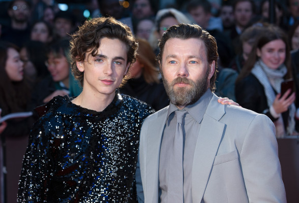 Timothee Chalamet pic #1272593