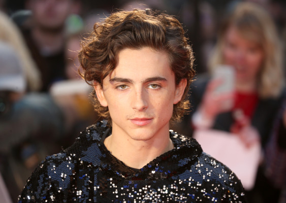 Timothee Chalamet pic #1272747