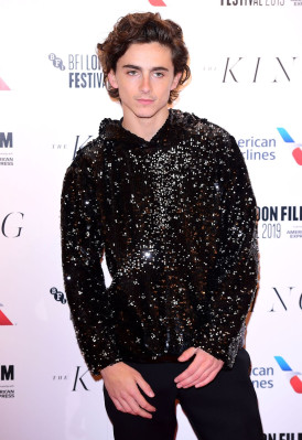 Timothee Chalamet pic #1272509
