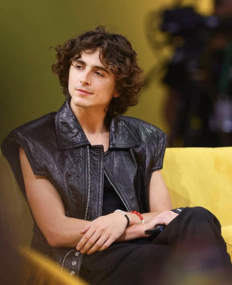 Timothee Chalamet pic #1340402