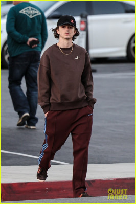 Timothee Chalamet pic #1343014