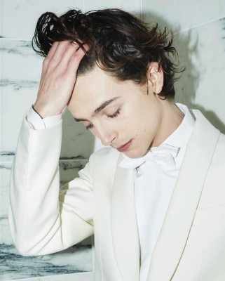 Timothee Chalamet pic #1301698