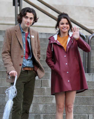 Timothee Chalamet pic #1294178